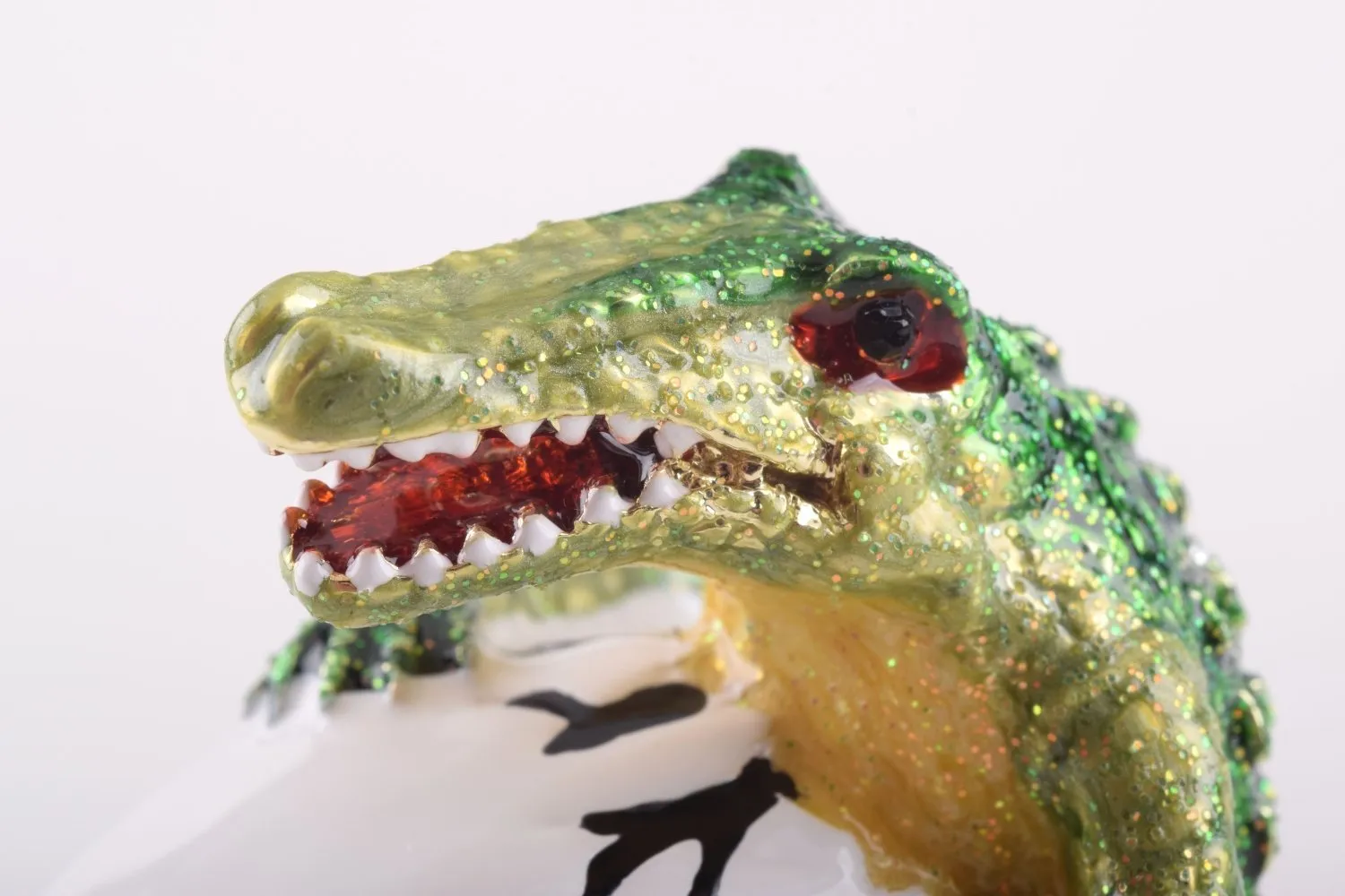 Alligator