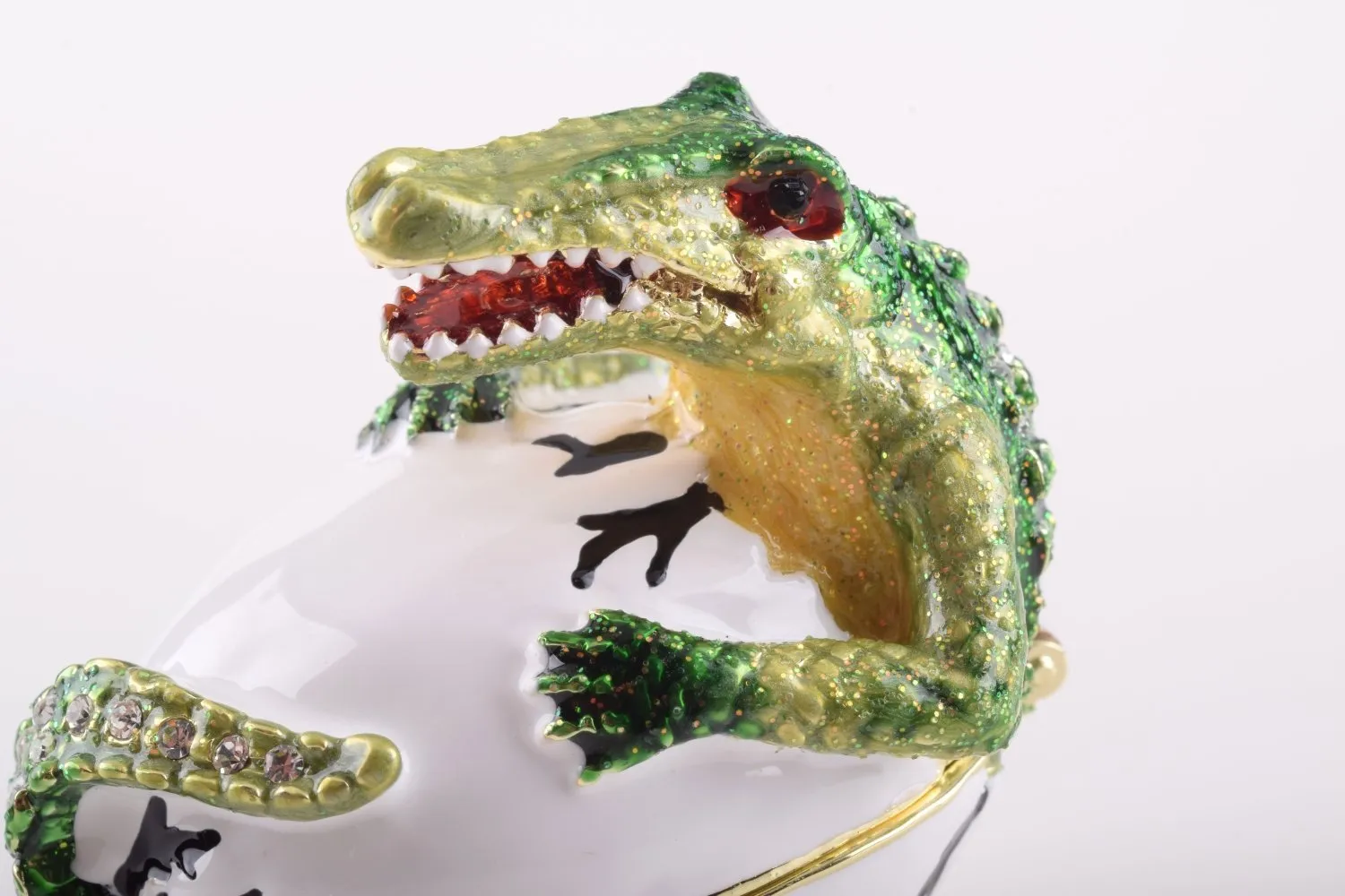 Alligator