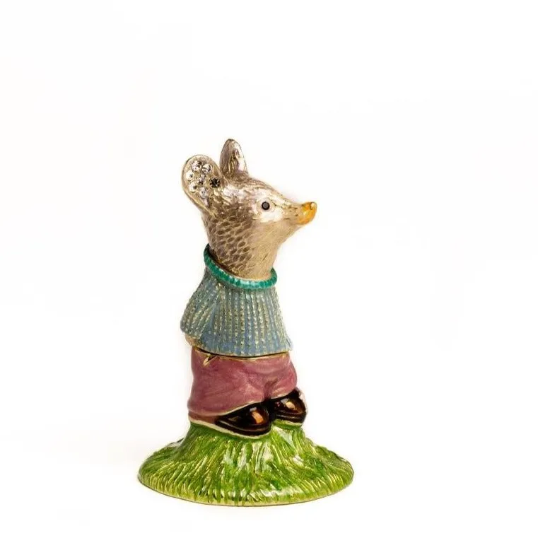 Baby Boy Mouse