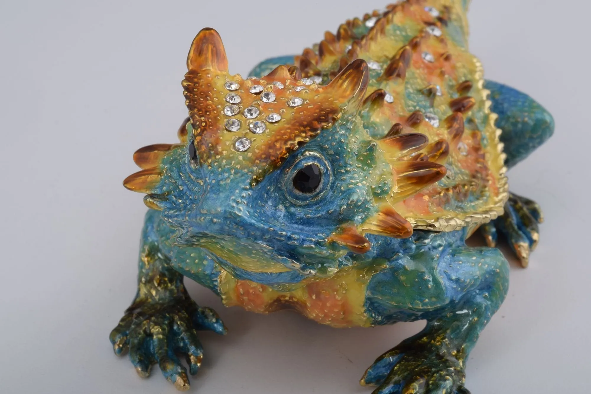 Blue & Yellow Agama Dragon