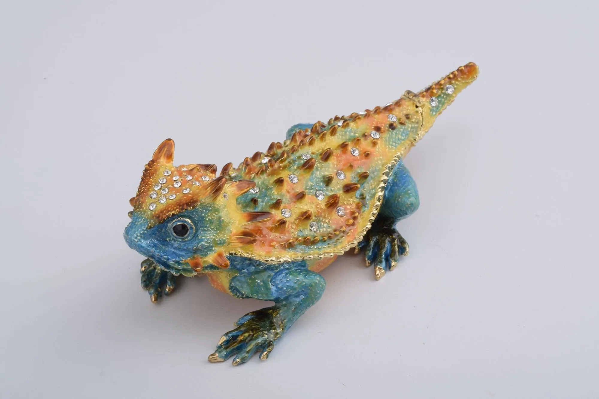 Blue & Yellow Agama Dragon