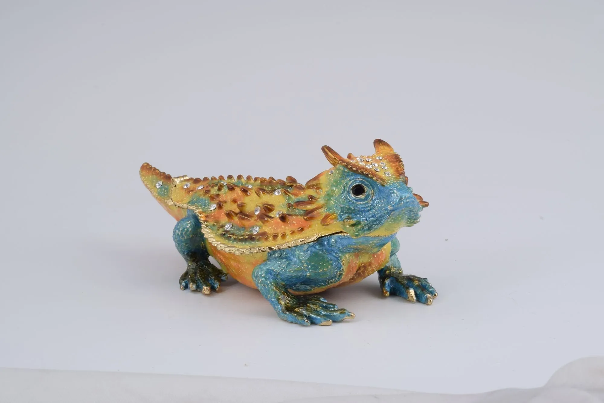 Blue & Yellow Agama Dragon