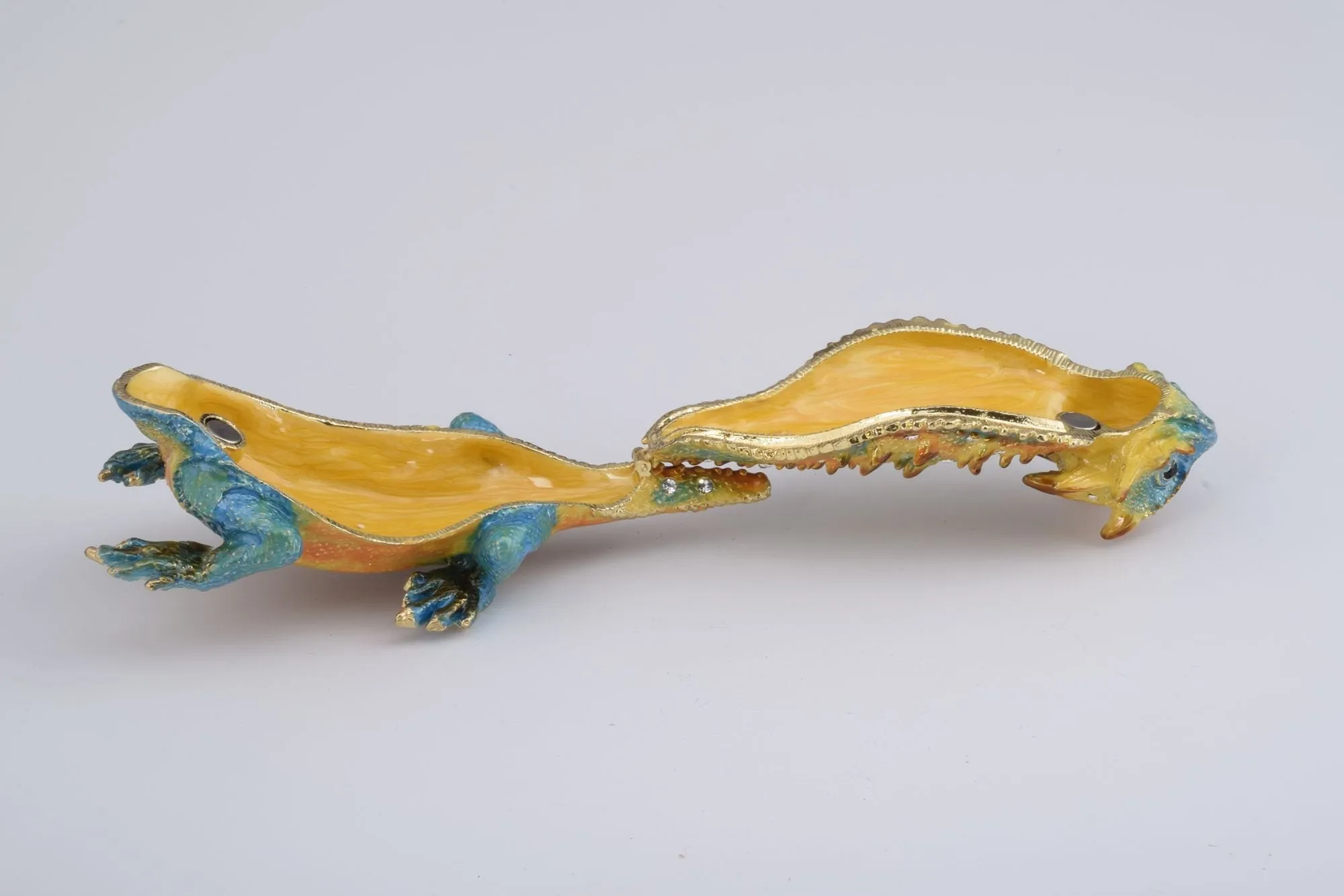 Blue & Yellow Agama Dragon