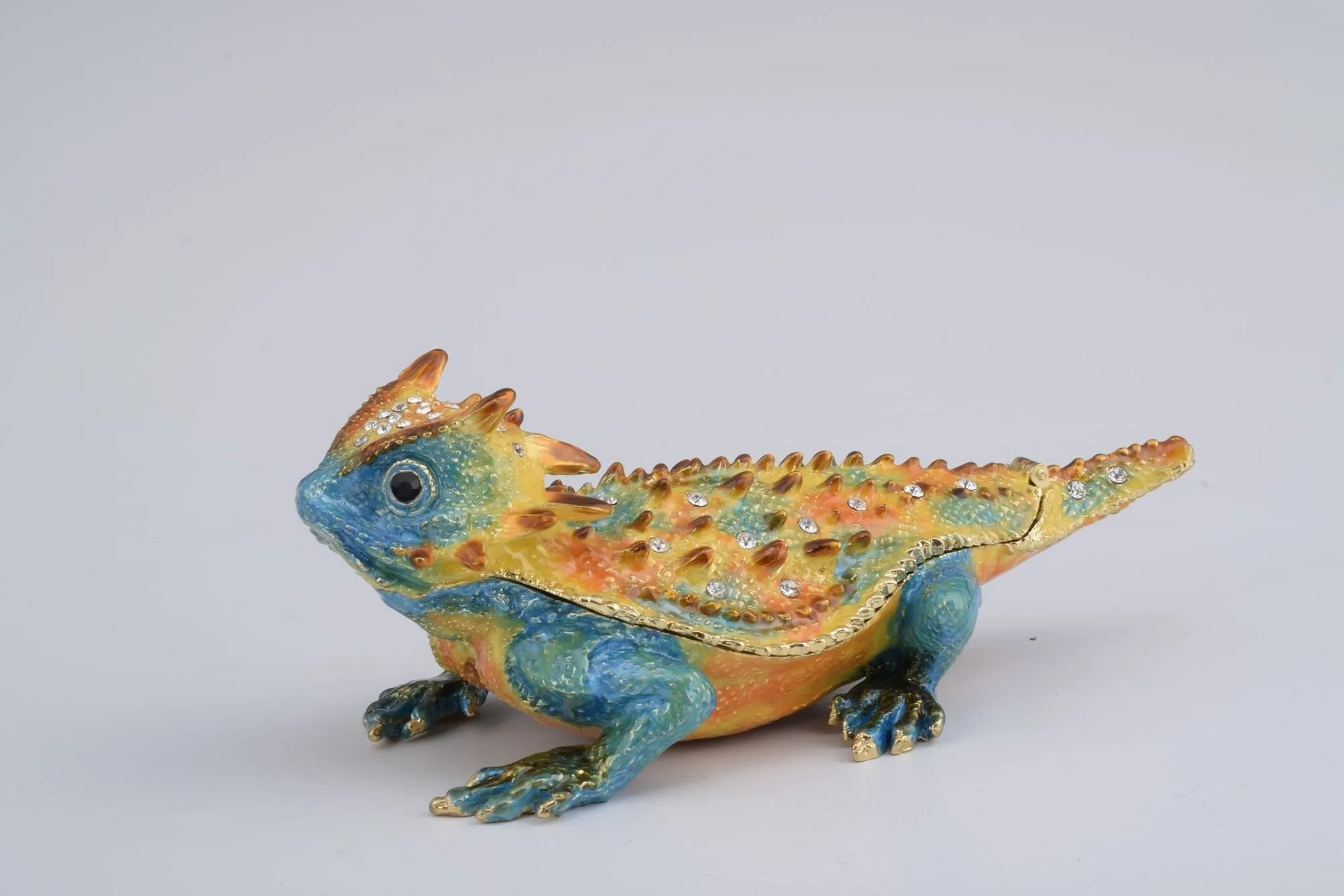 Blue & Yellow Agama Dragon
