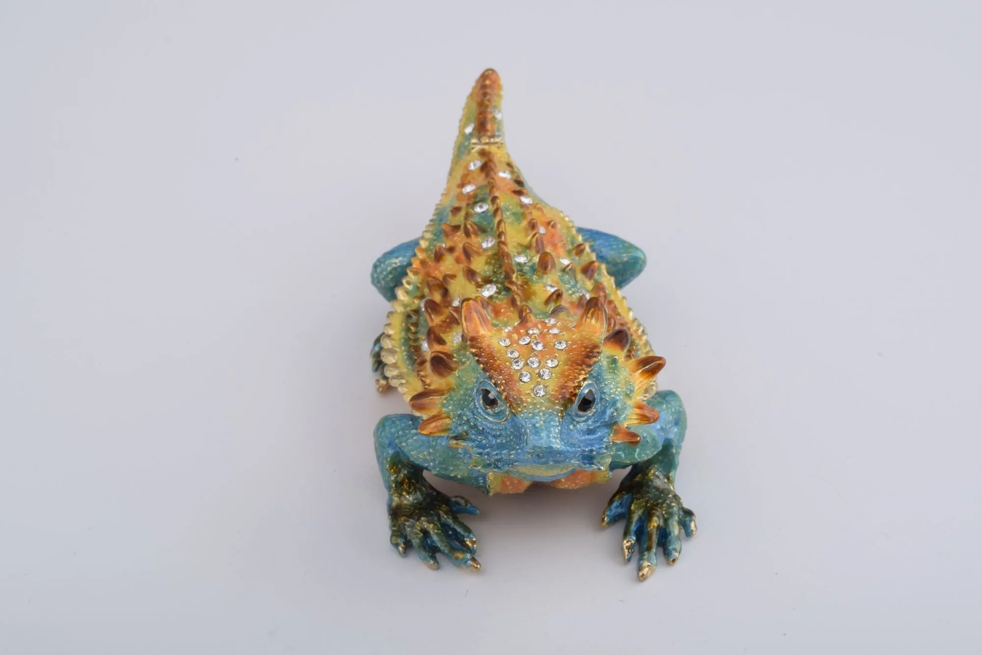 Blue & Yellow Agama Dragon