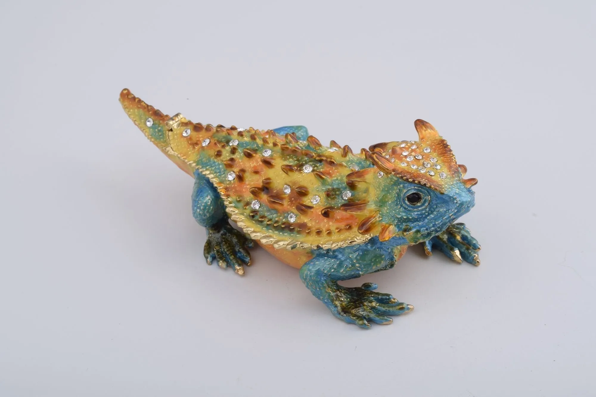 Blue & Yellow Agama Dragon