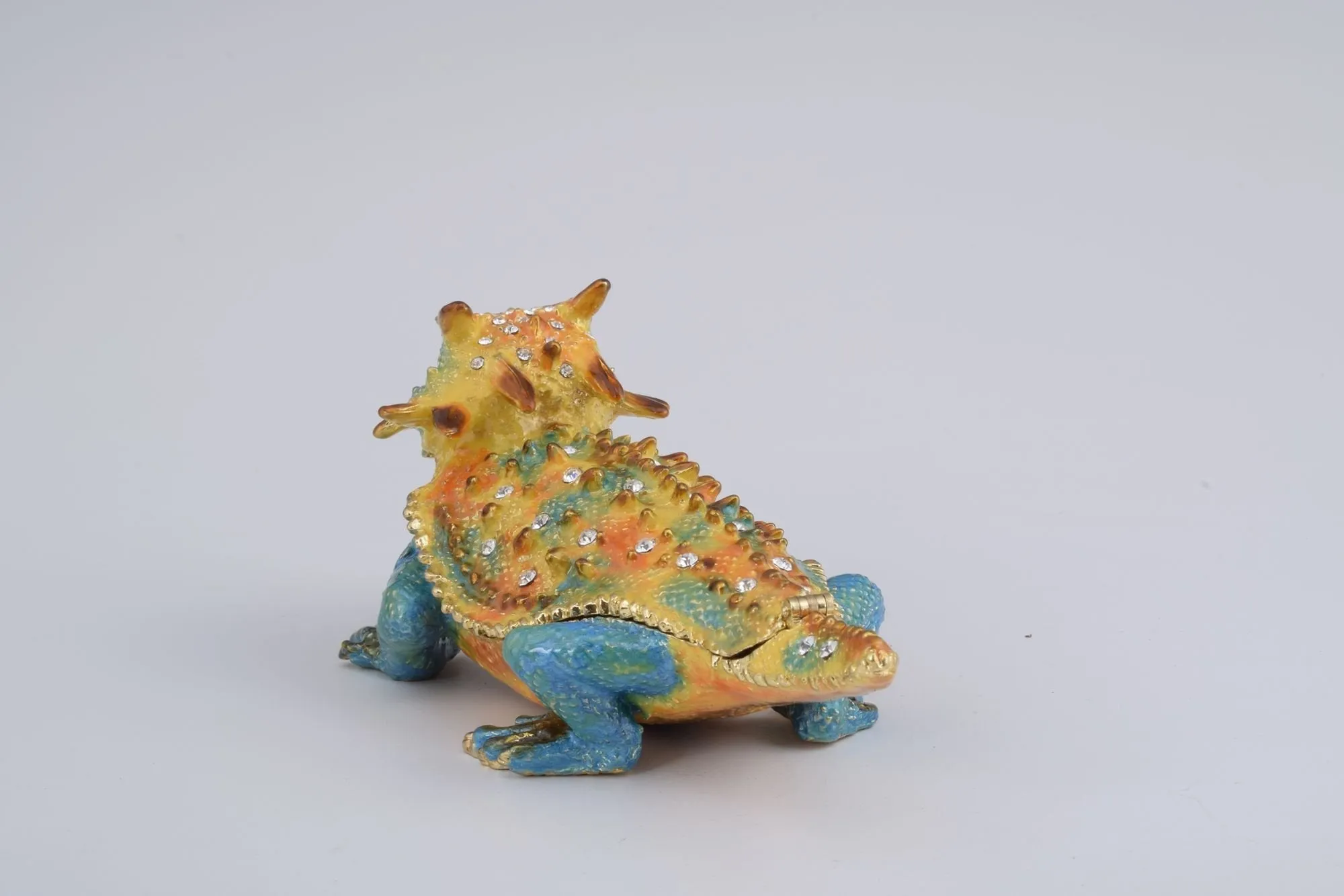 Blue & Yellow Agama Dragon