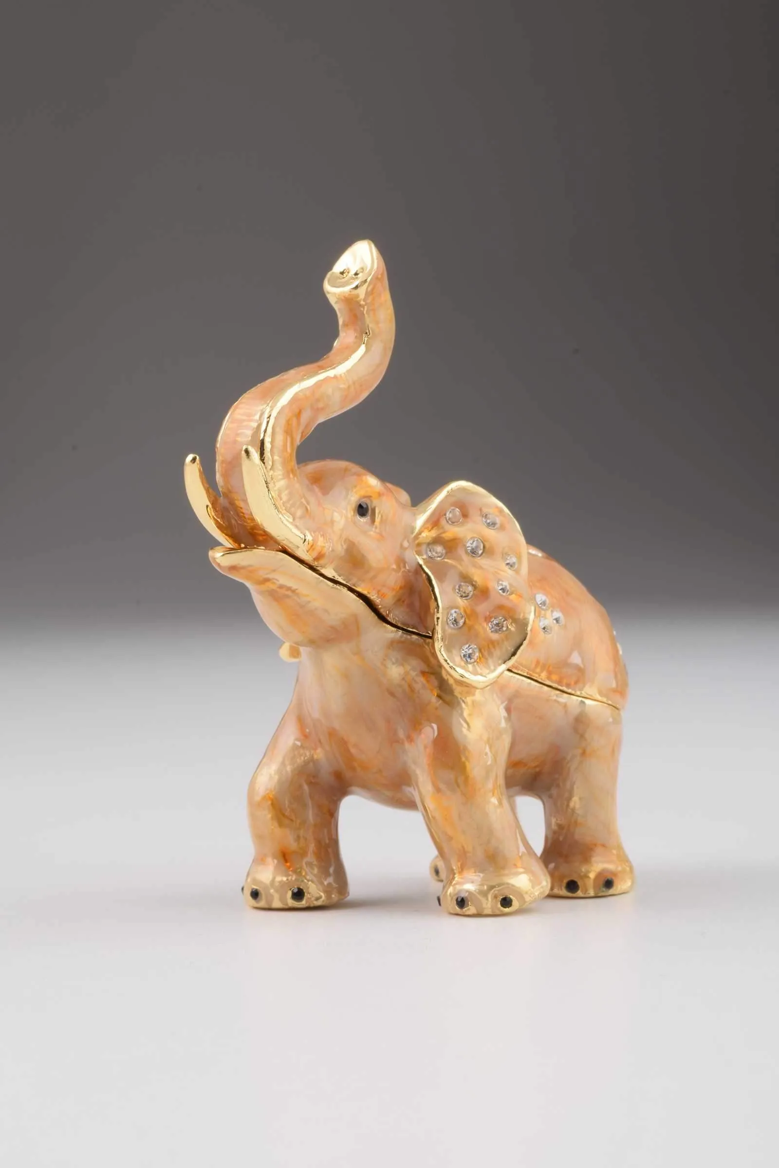 Cheering Elephant