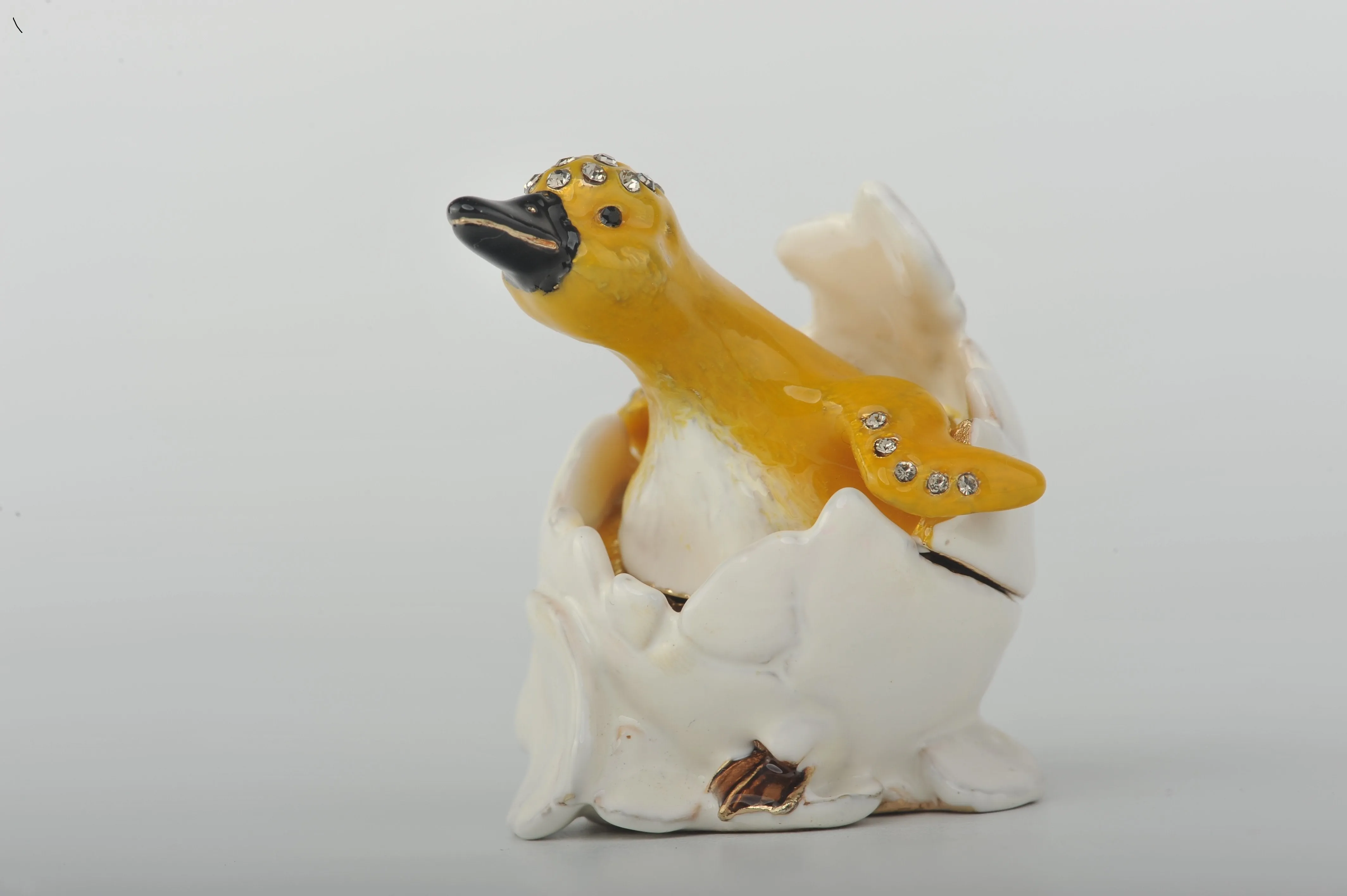Chick in an Egg Shell