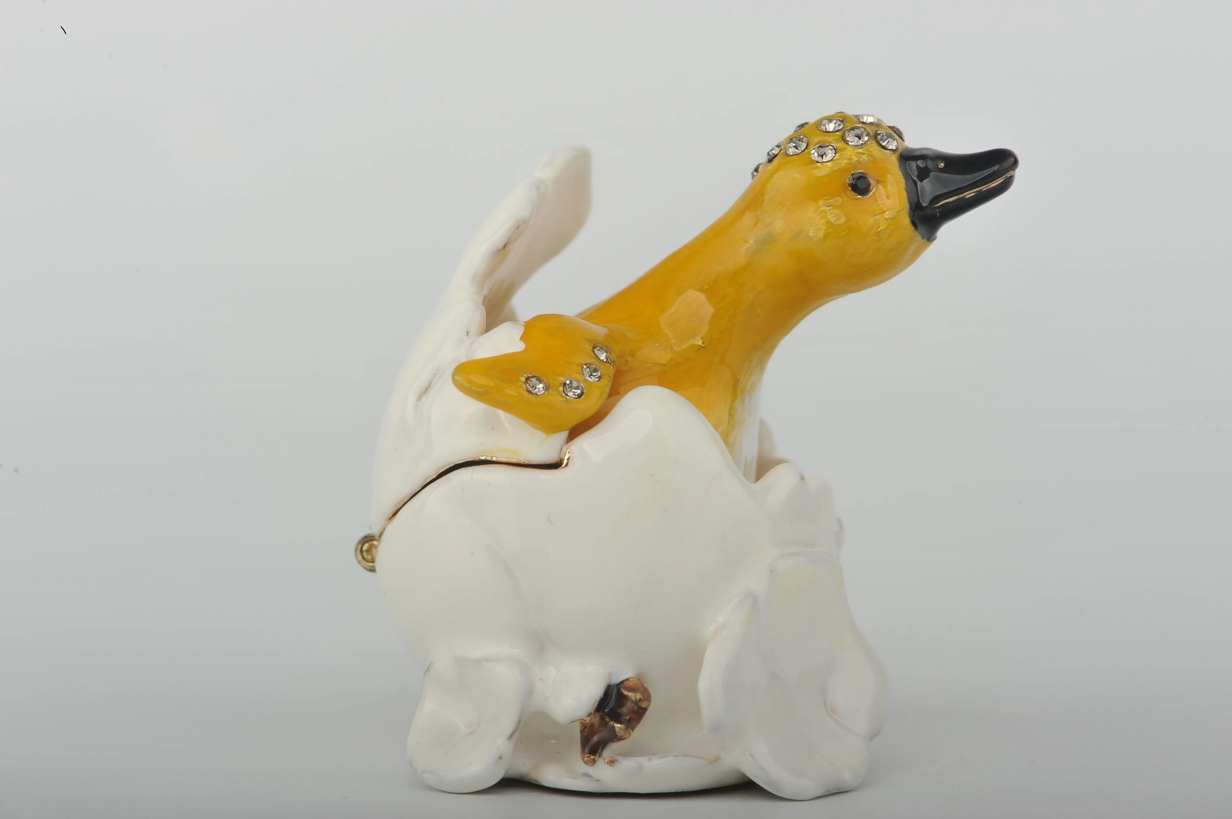 Chick in an Egg Shell