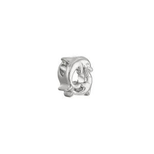 Dolphin Circle Charm