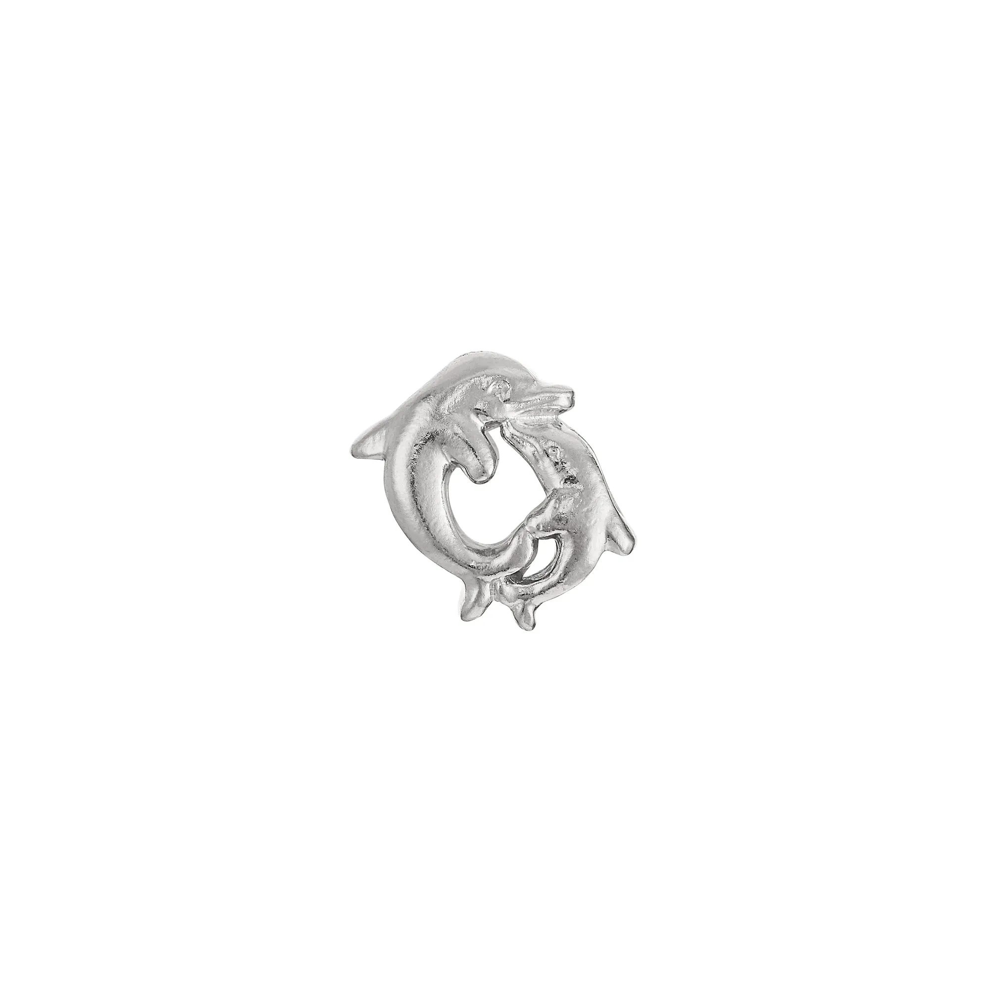 Dolphin Circle Charm