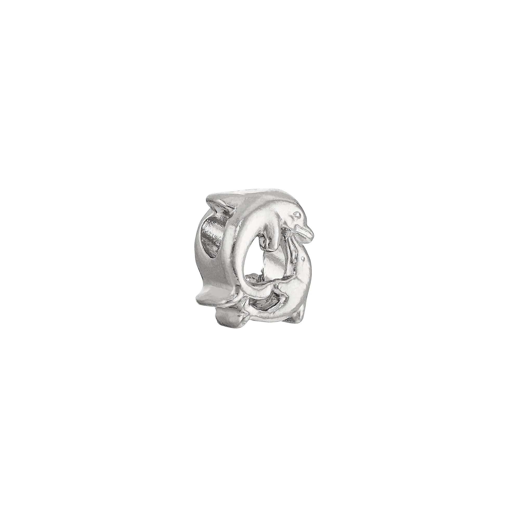 Dolphin Circle Charm