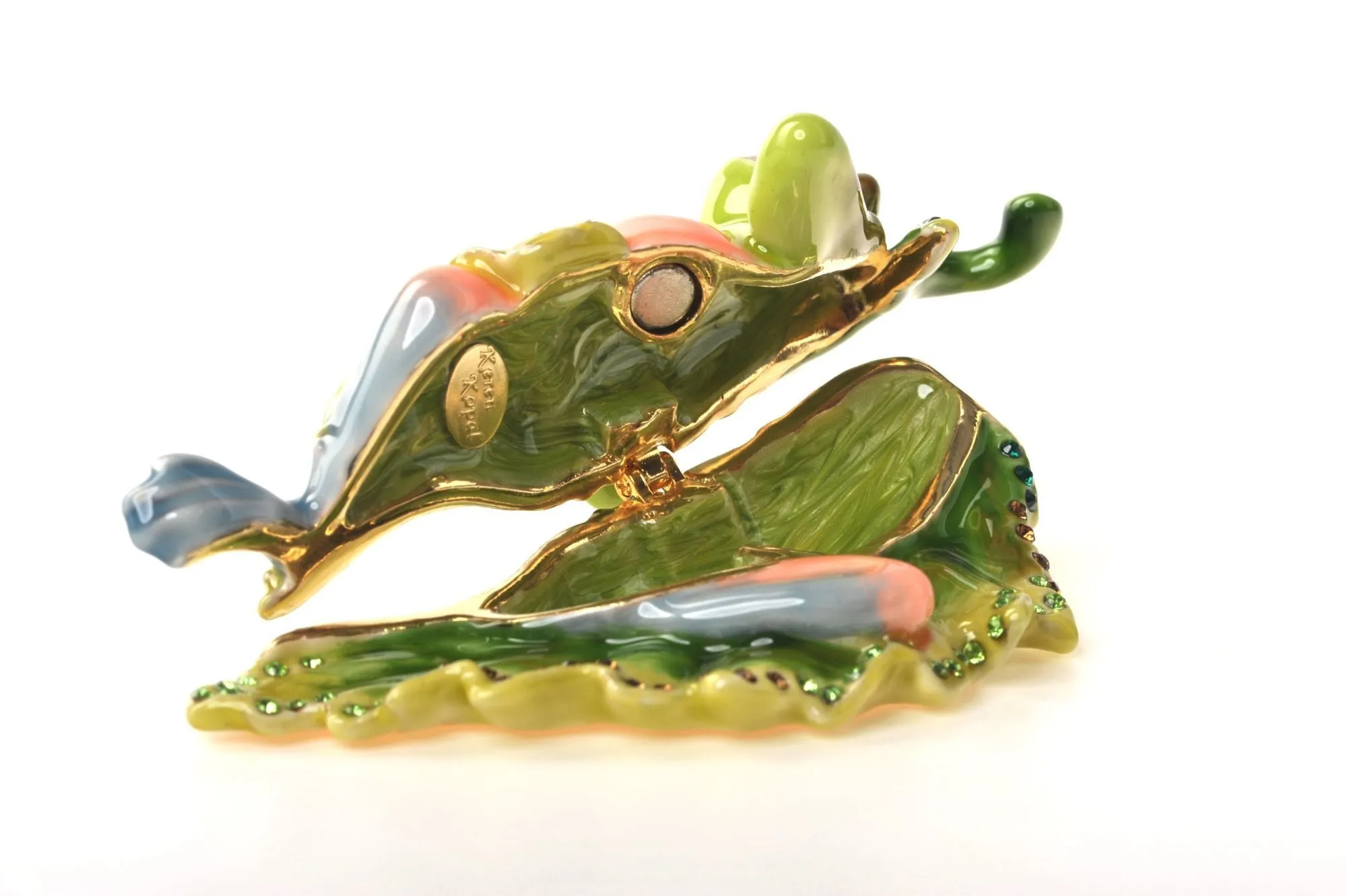 Frog on a Leaf