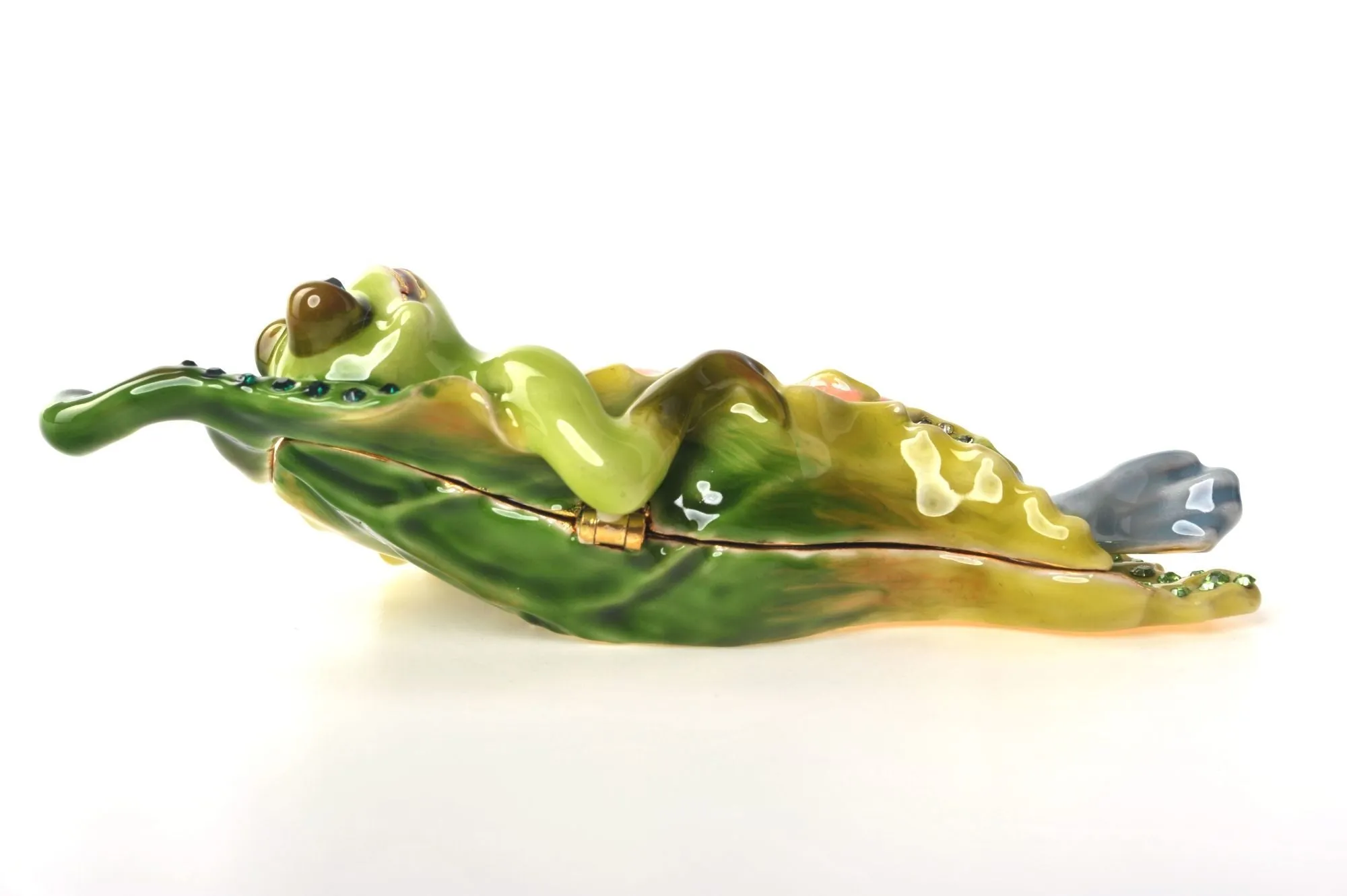 Frog on a Leaf