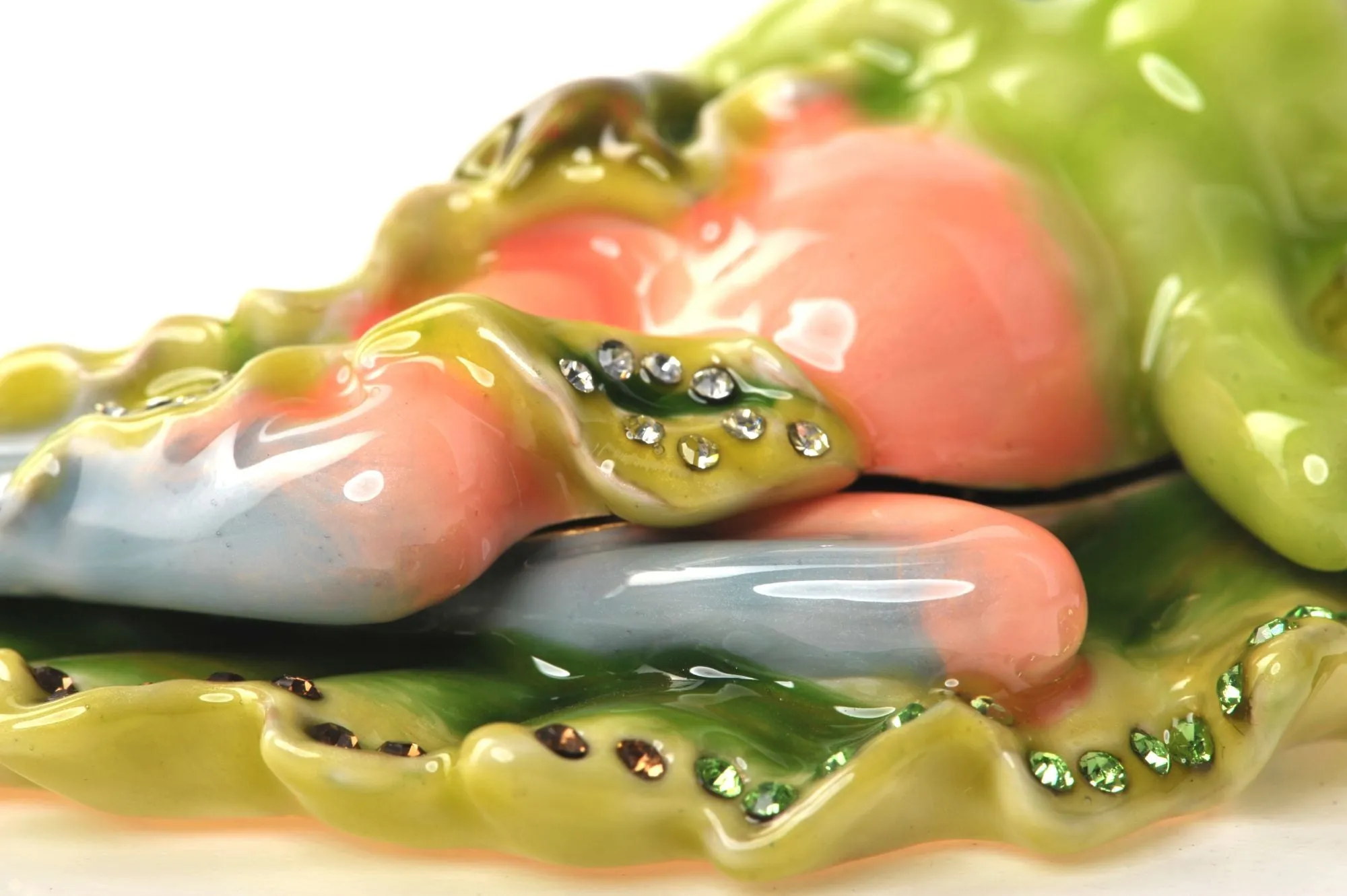 Frog on a Leaf