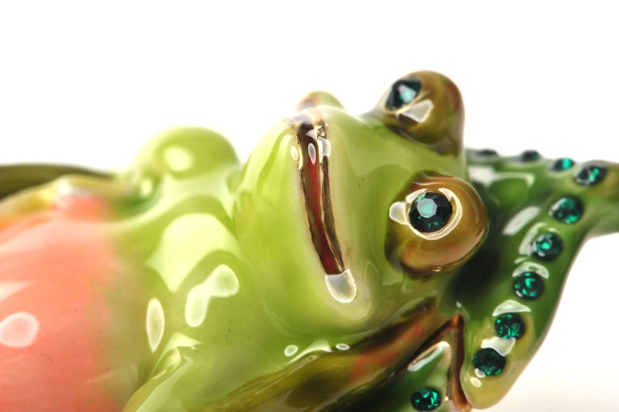 Frog on a Leaf