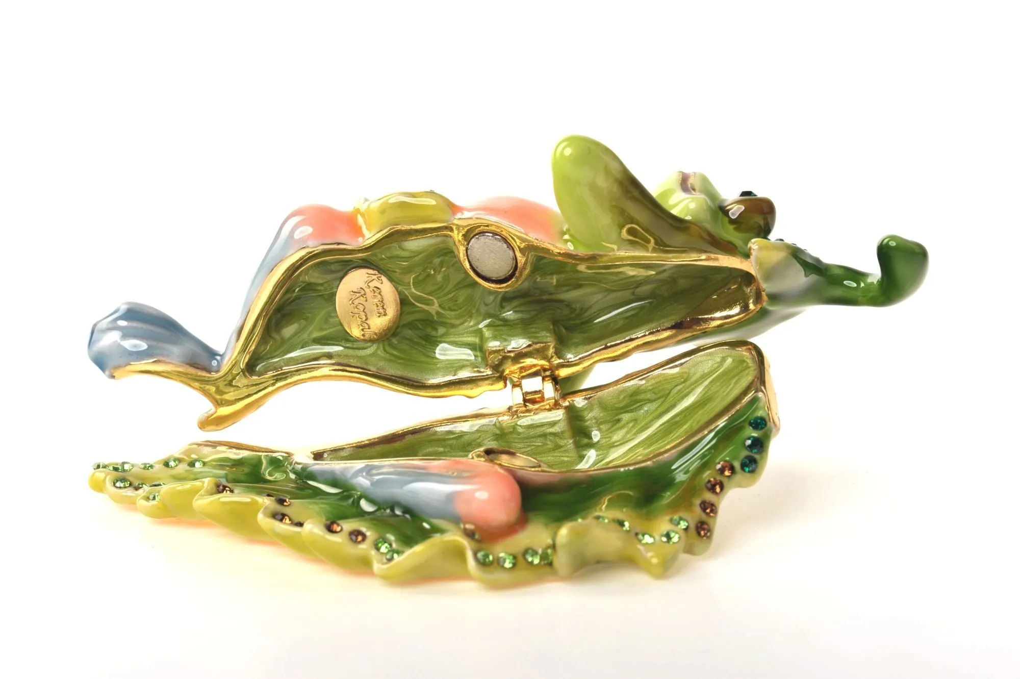 Frog on a Leaf