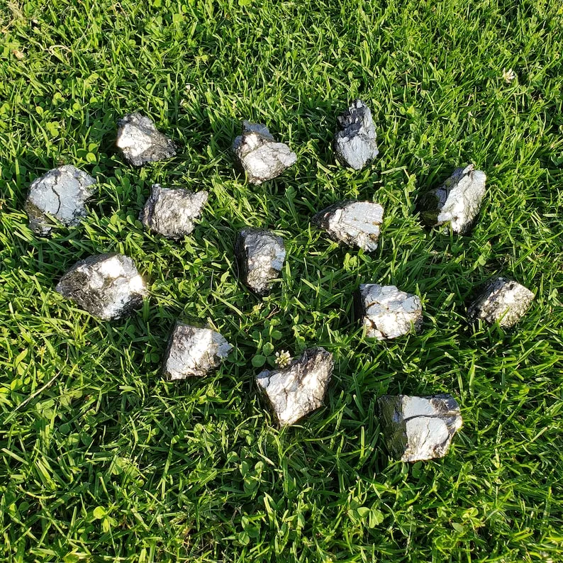 Genuine Elite Noble Silver Shungite