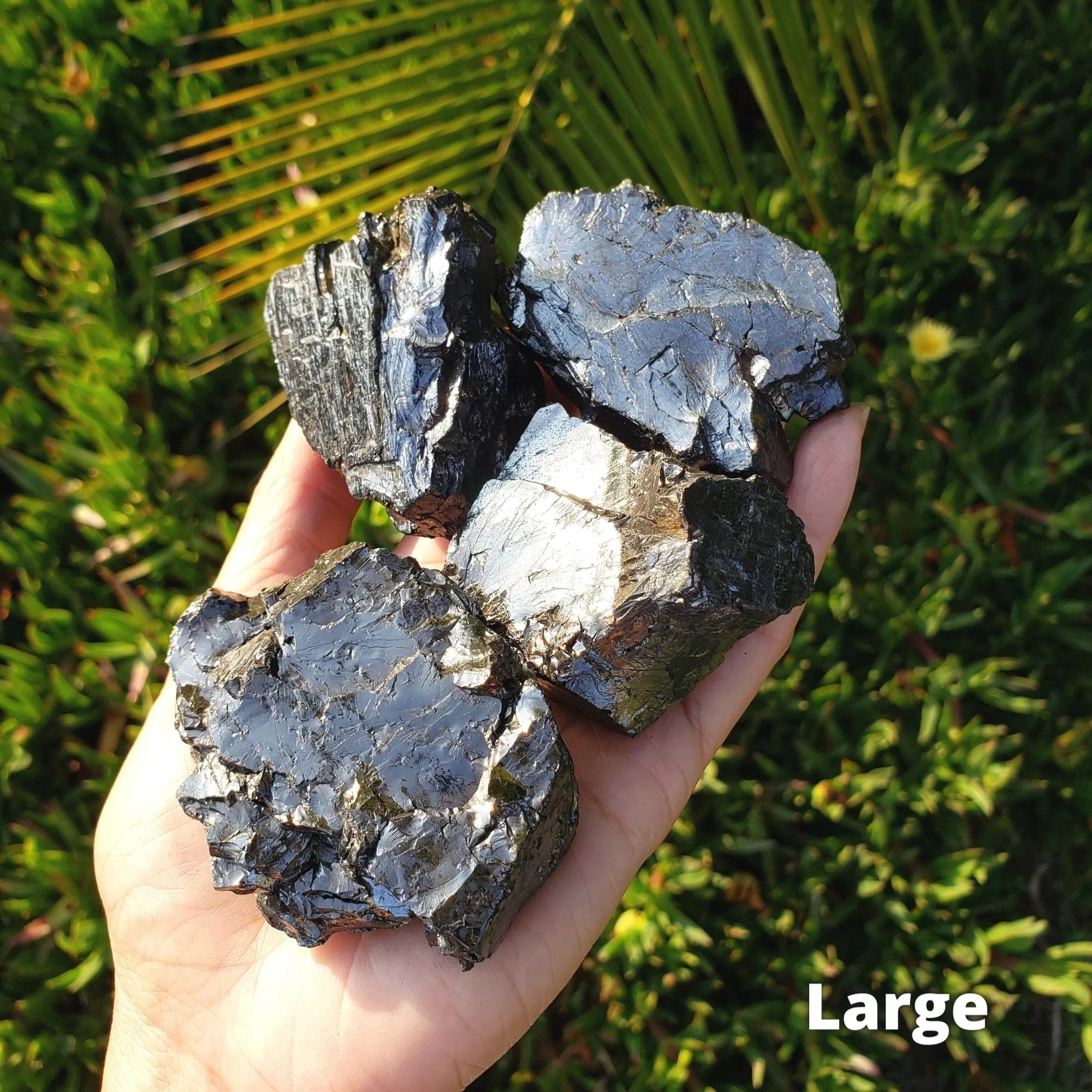 Genuine Elite Noble Silver Shungite