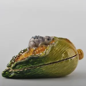 Grey Mouse on Corncob