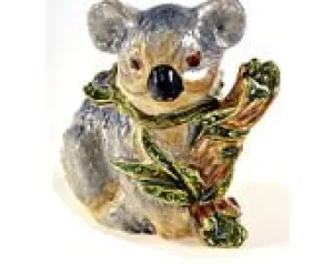 Koala on a Tree