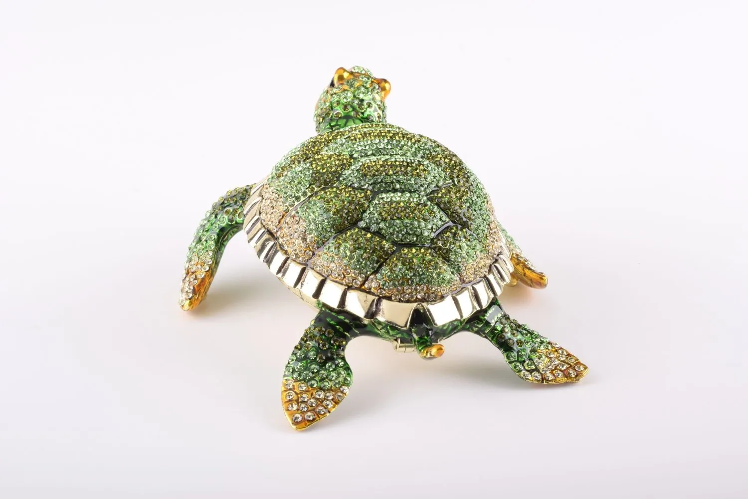 Large Green Sea Turtle