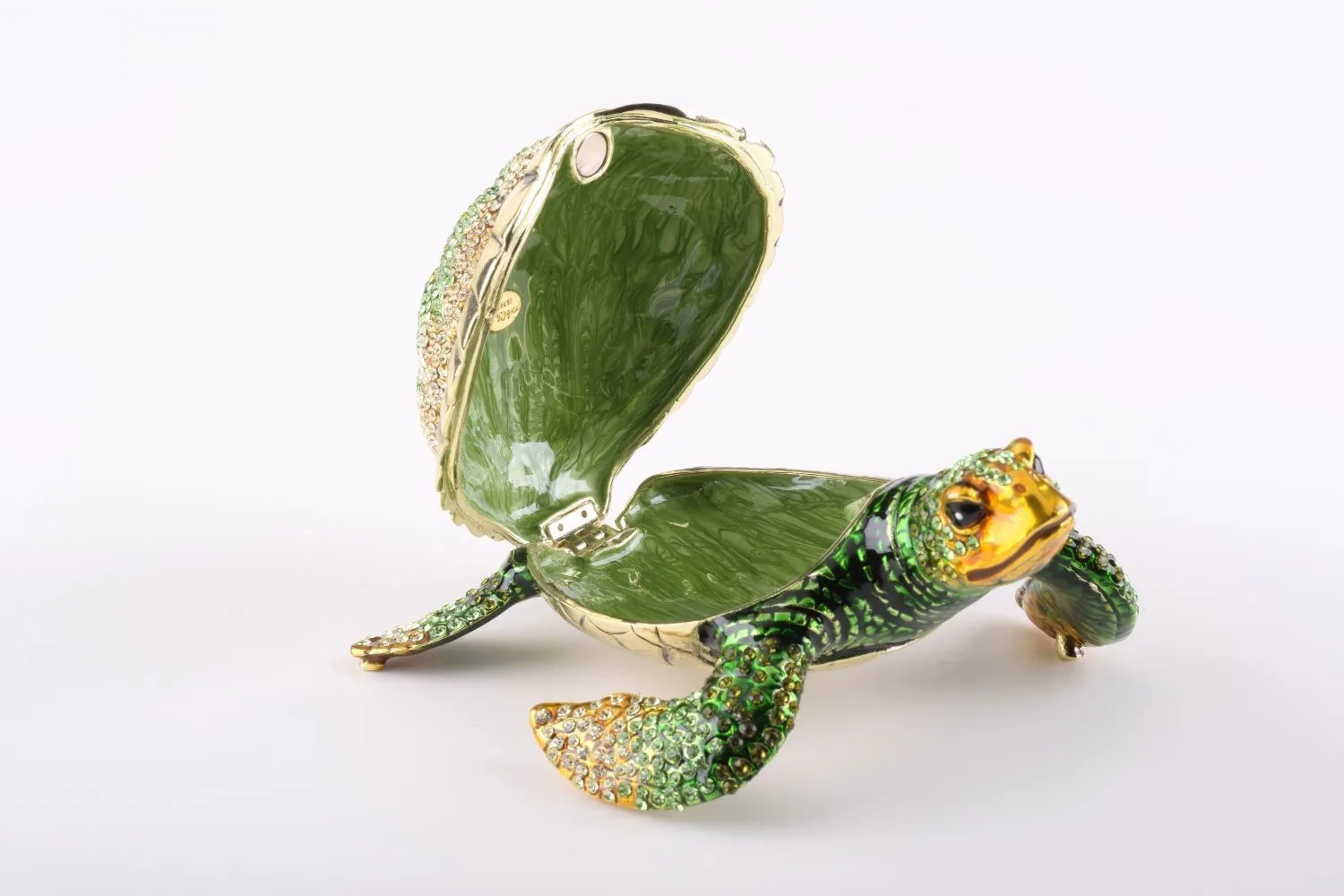Large Green Sea Turtle
