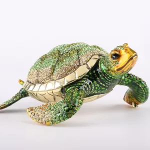 Large Green Sea Turtle