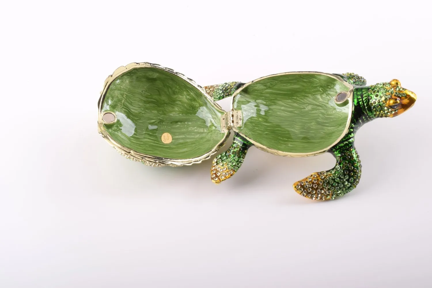 Large Green Sea Turtle