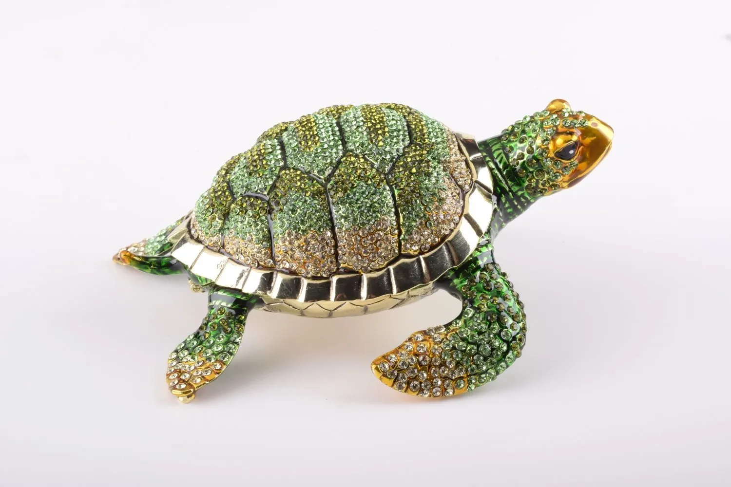 Large Green Sea Turtle