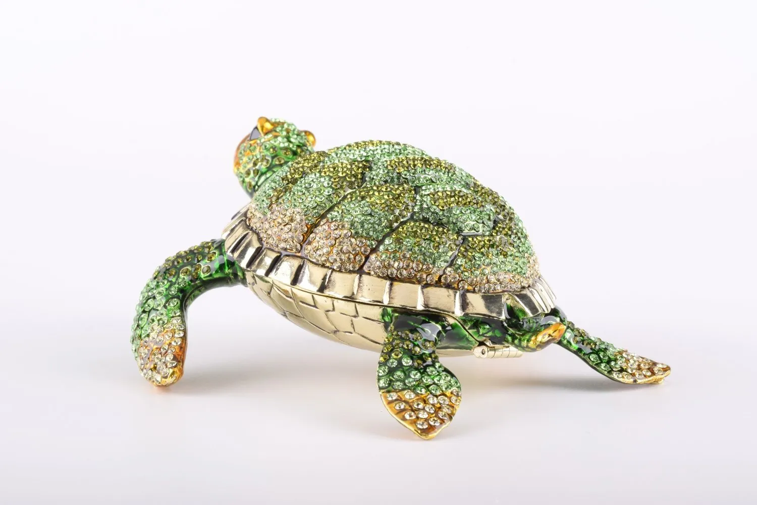 Large Green Sea Turtle