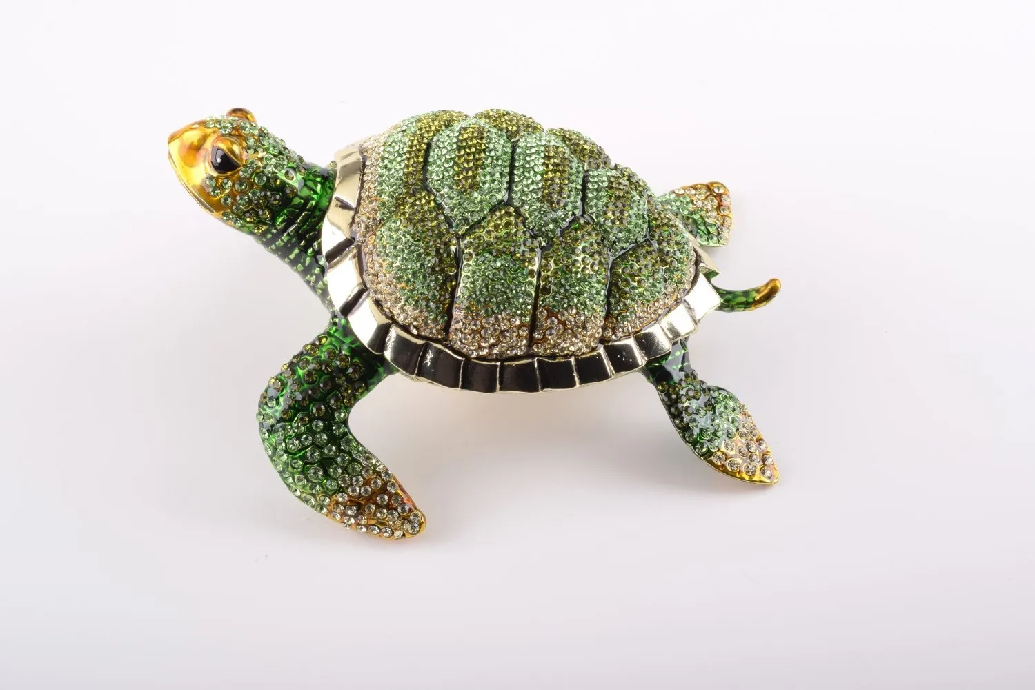 Large Green Sea Turtle