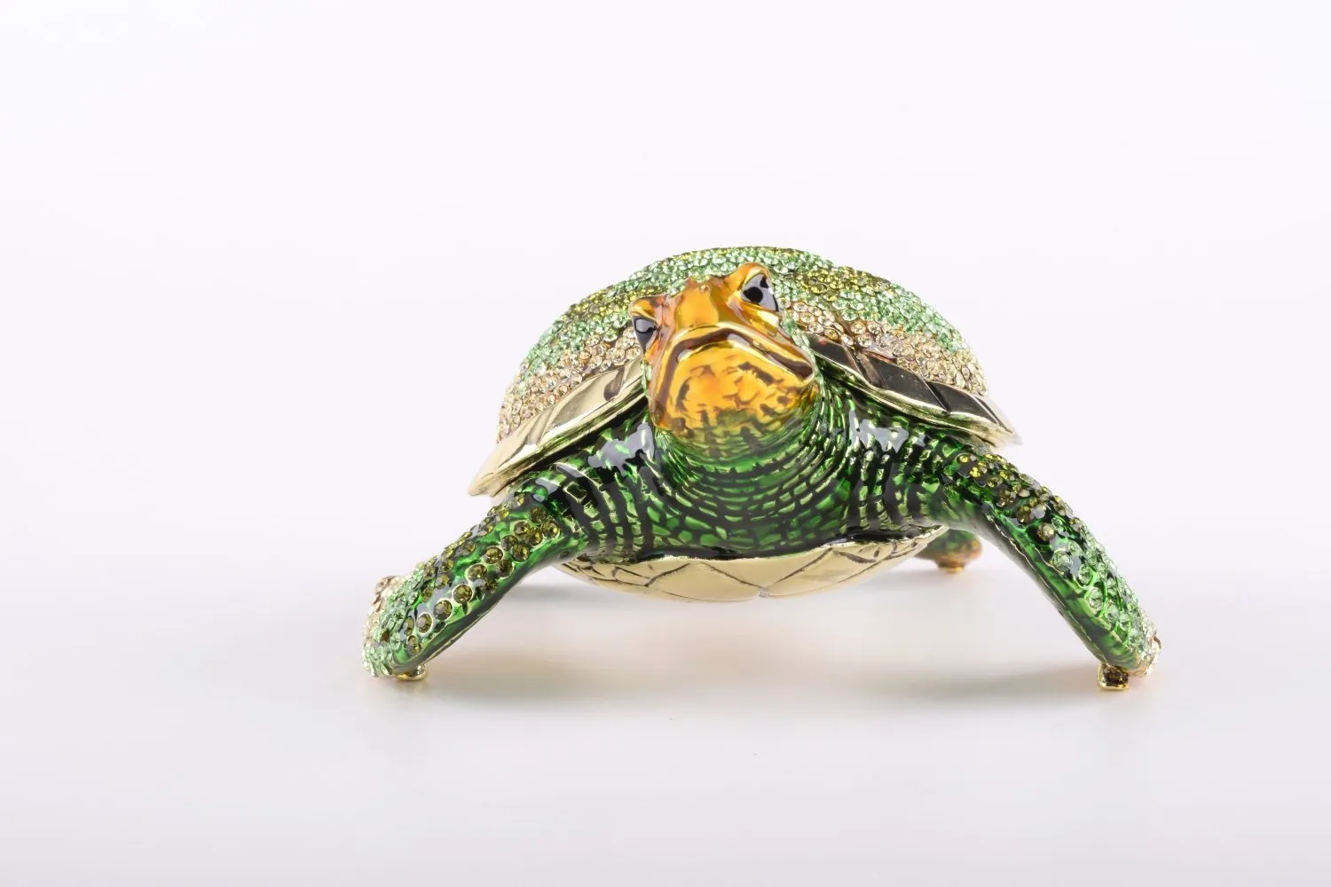Large Green Sea Turtle