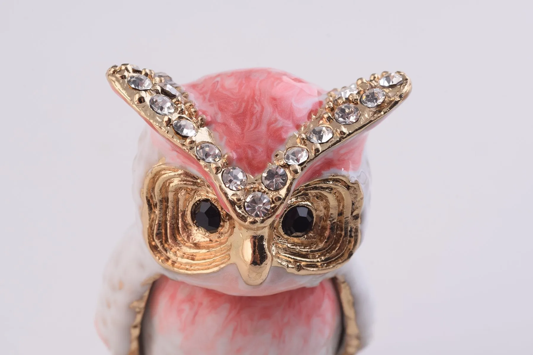 Pink Owl