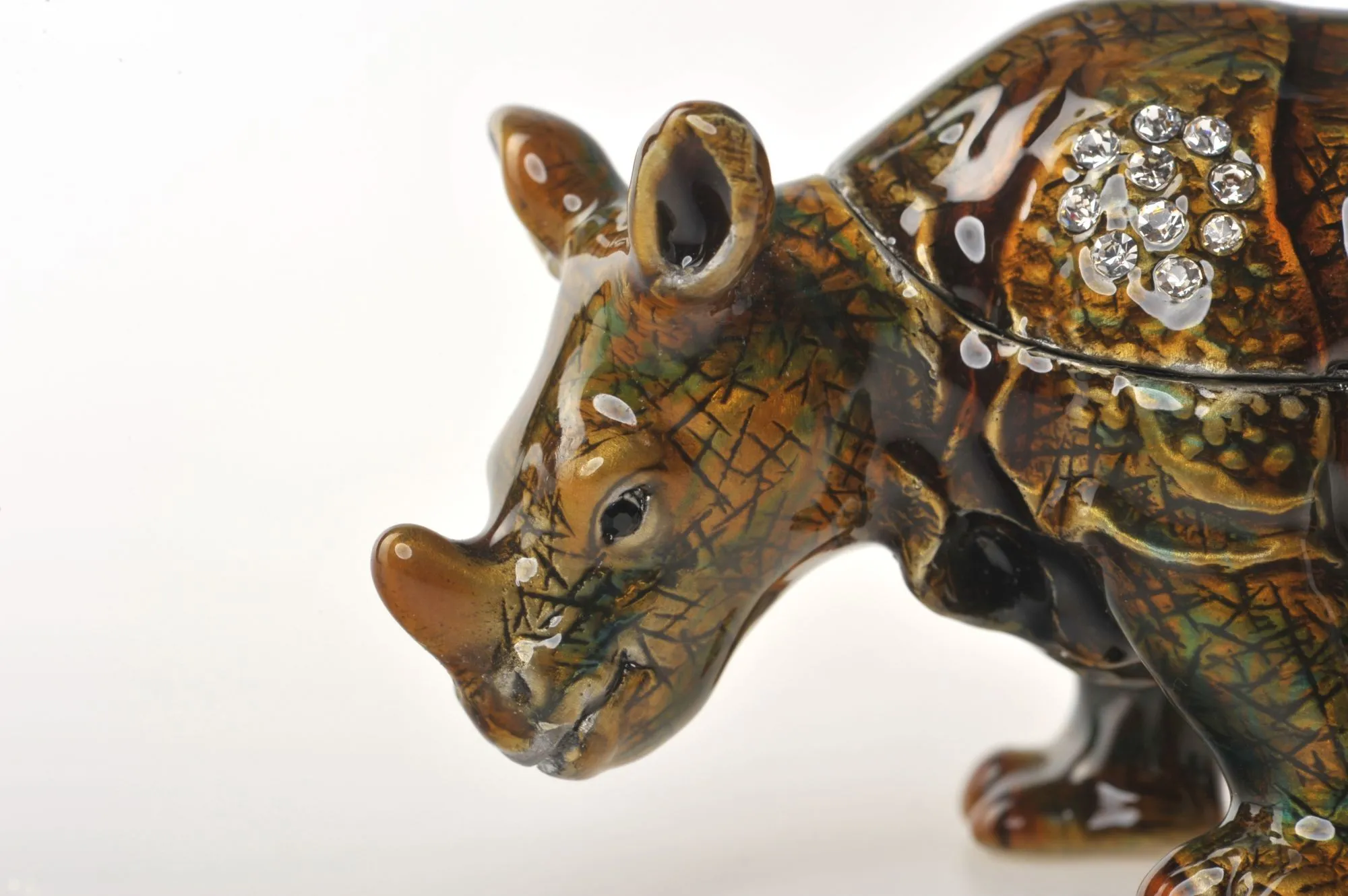 Rhinoceros
