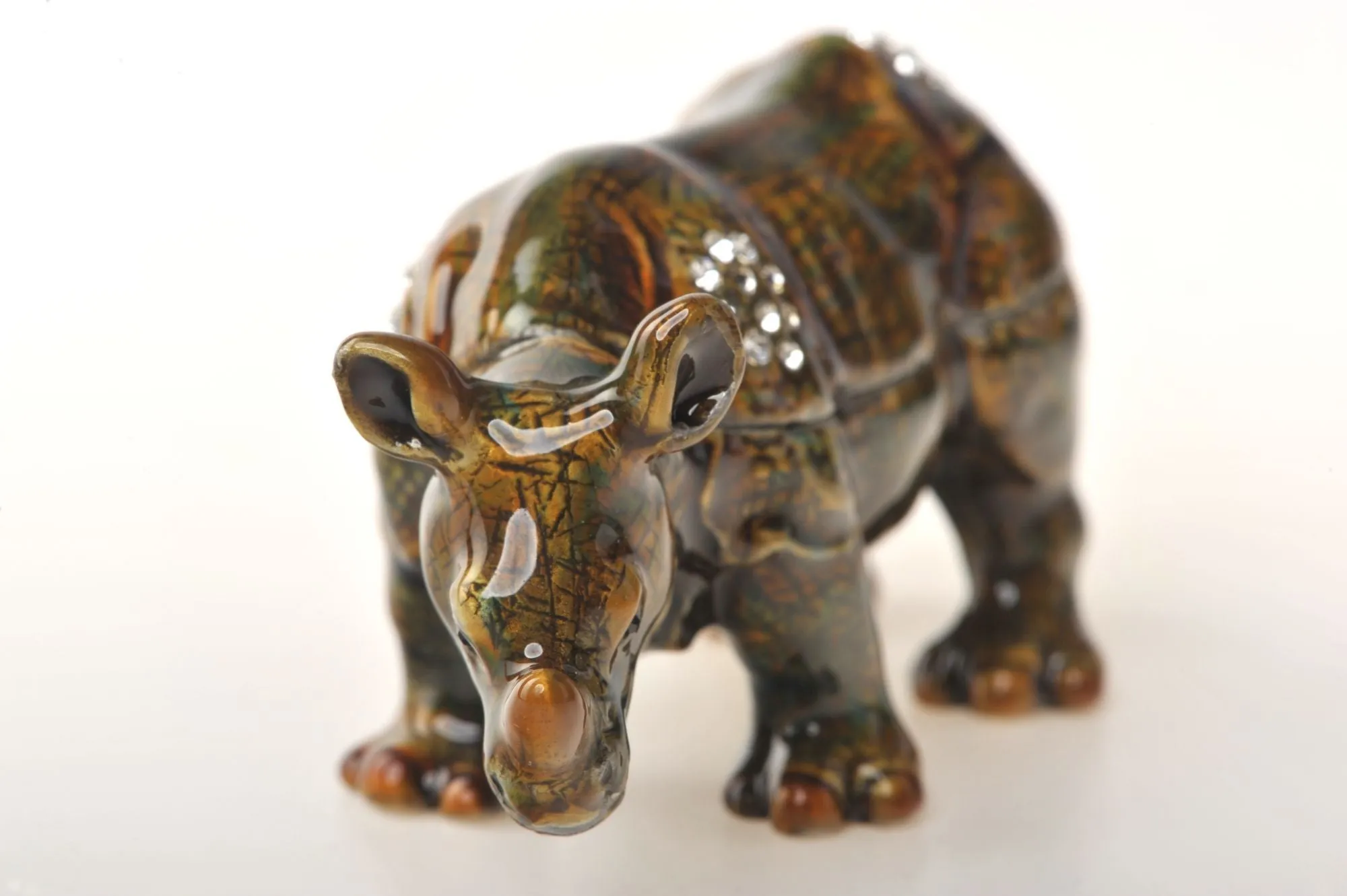 Rhinoceros