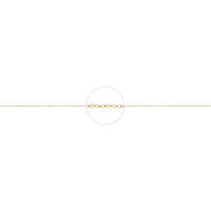 Round Rolo Chain - Gold