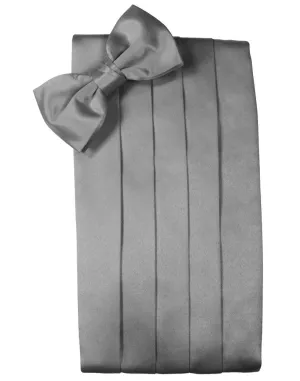 Silver Noble Silk Cummerbund & Bow Tie Set