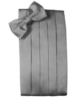 Silver Noble Silk Cummerbund & Bow Tie Set