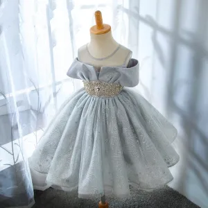 Silver Shine Dress