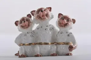 Three White Cats Singing