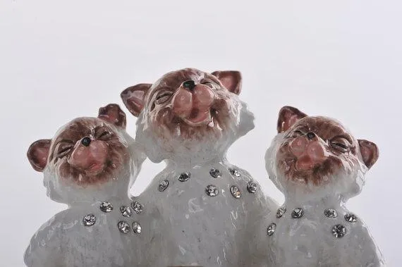 Three White Cats Singing