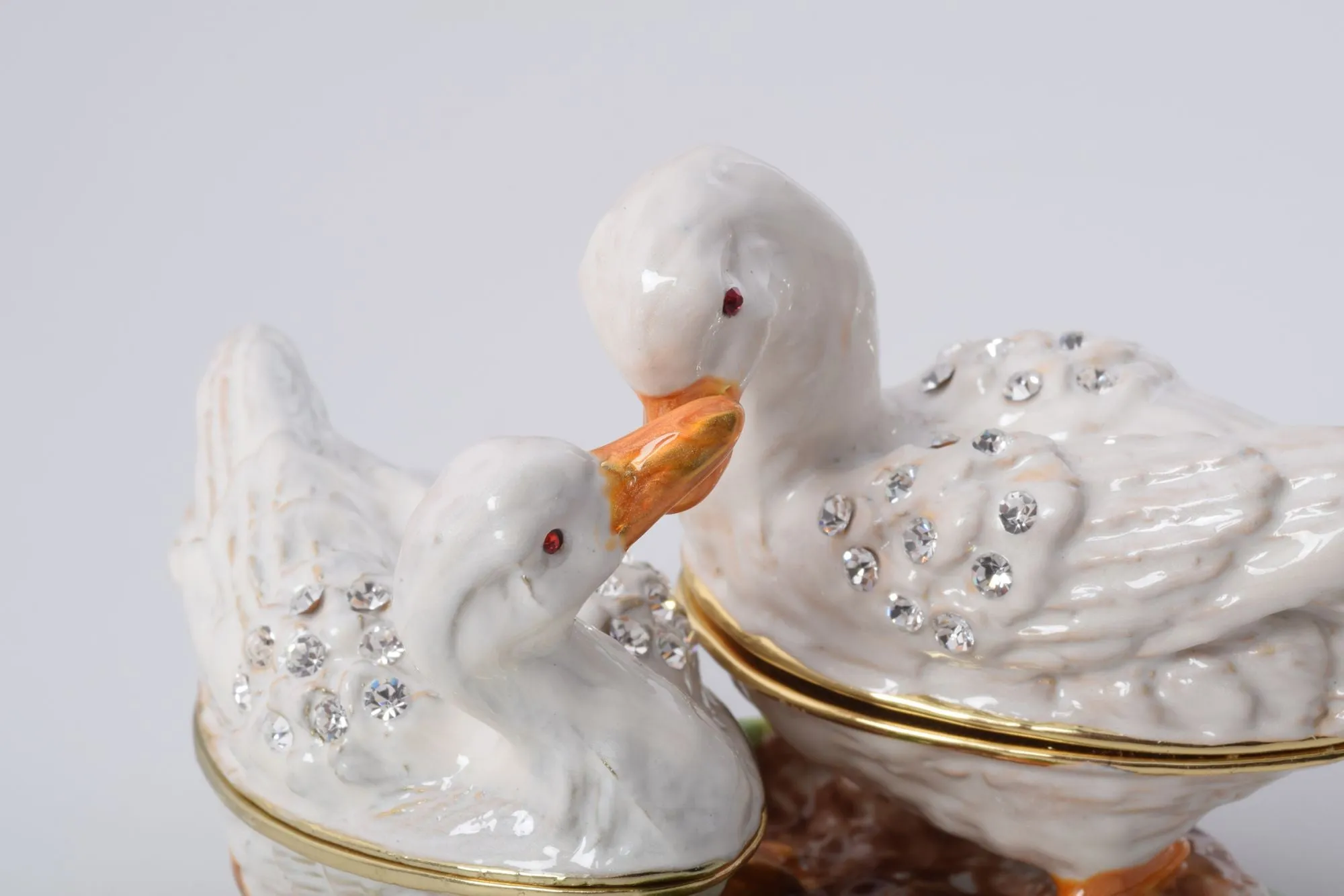 Two White Swans