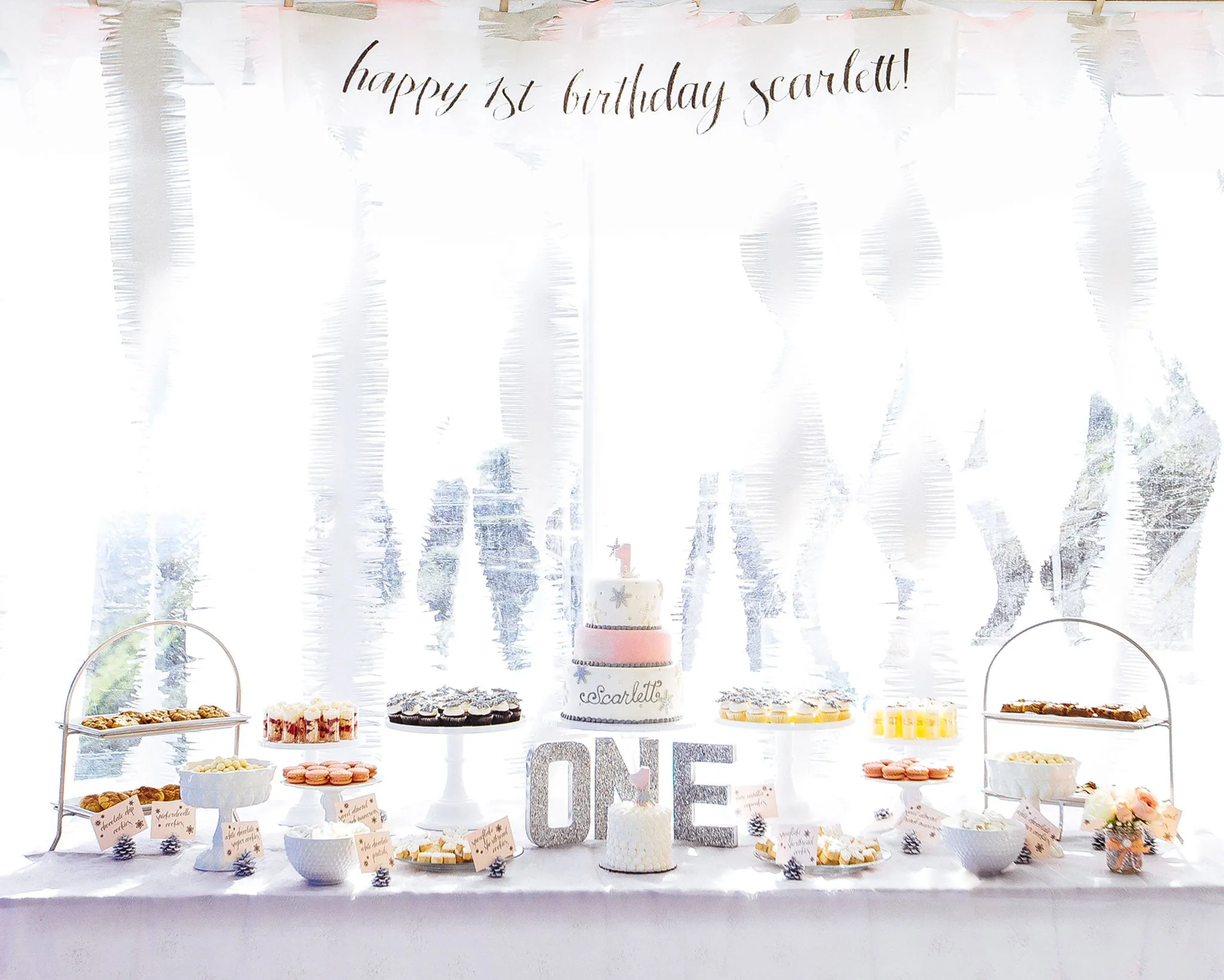 Winter One-derland Birthday
