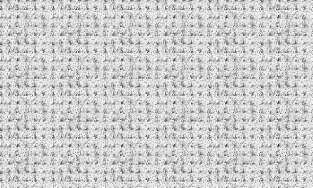 Ye Olde Ruin (One) Wall Covering by Paul Noble